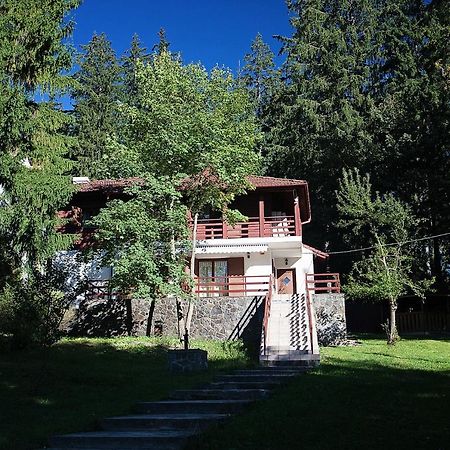 Vila Carolyne Predeal Exterior photo
