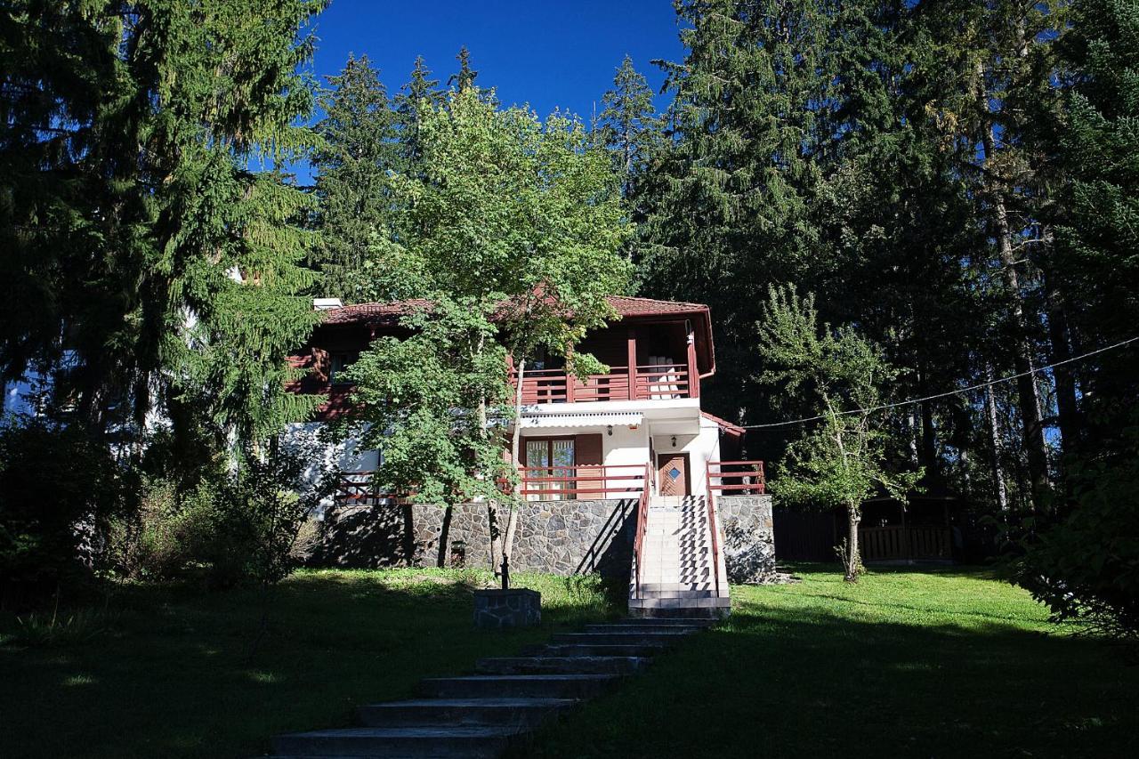 Vila Carolyne Predeal Exterior photo