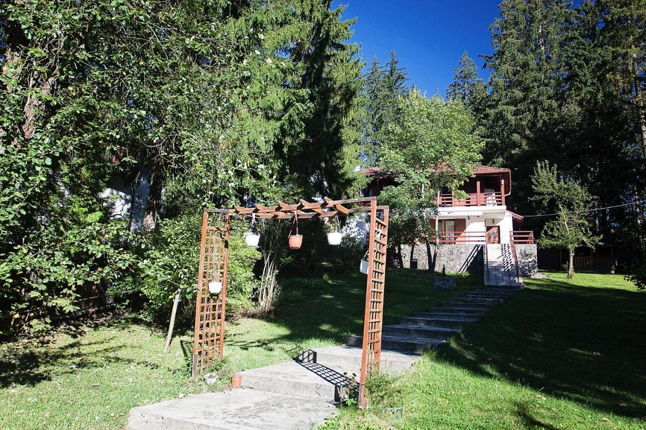 Vila Carolyne Predeal Exterior photo